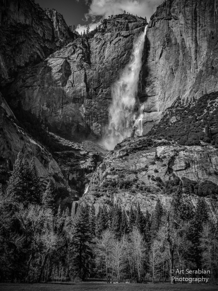 IG-_D8C0442-Edit-Edit